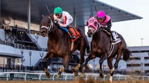 Aqueduct, 2025 Cigar Mile Handicap, Bishops Bay, Remsen Stakes, Paladin
